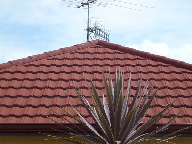 Roof moss and mildew removal services with chemical cleaning.