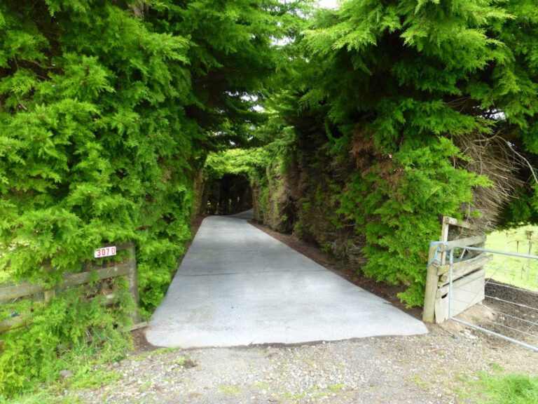 Rural tree shaping arborist hedge trimming tree cutting services outdoor space rejuvination and gardening to clean the appearance with garden imrpovement.