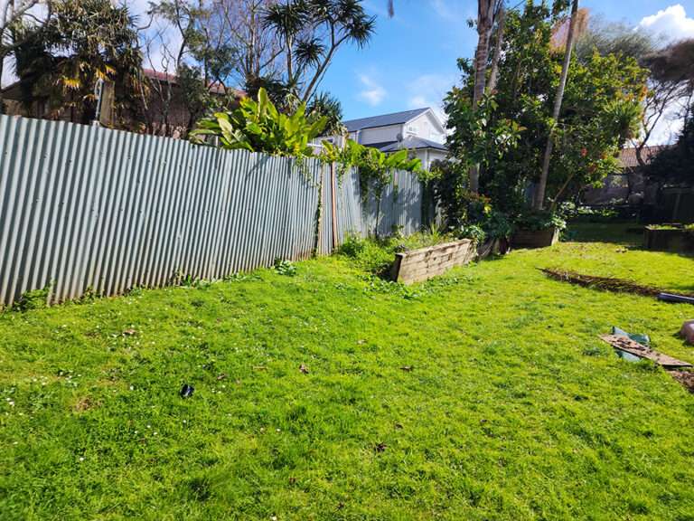 Market Ready past project: Green lawn with corrugated metal fence, garden beds, and lush greenery in a backyard setting.