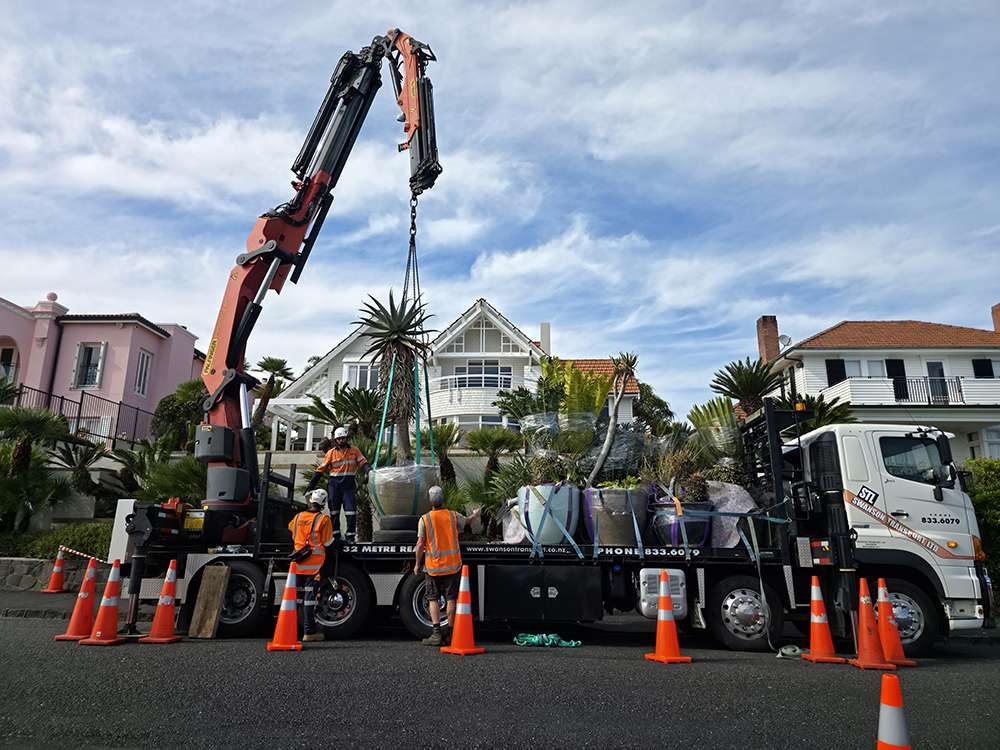 Hiab crane lifting a large plant off site with workers in safety vests and cones, landscaping project.