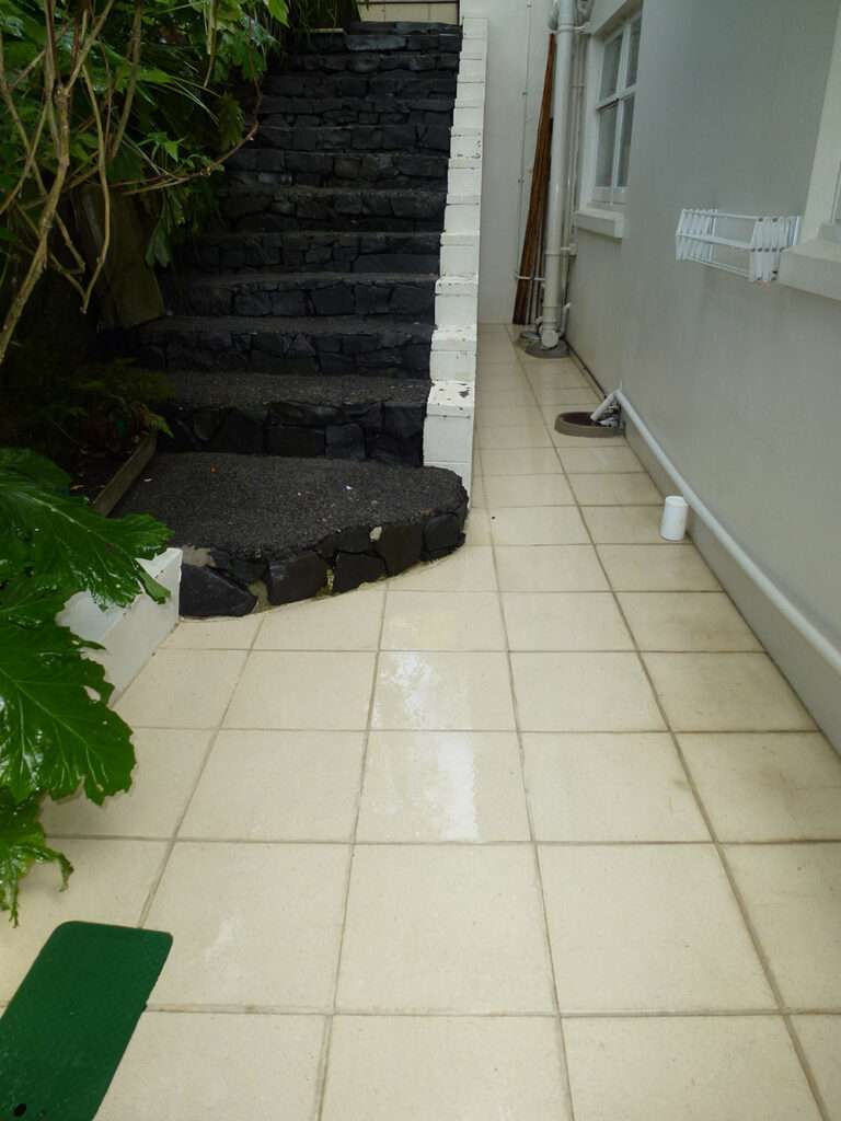 Paving clean-up case study: Cleaned tile walkway leading to stone steps. Professional paving cleaning results.