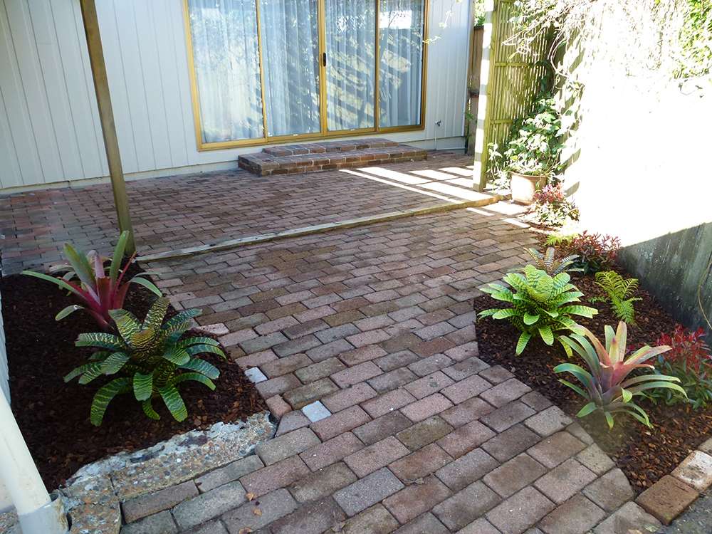 Cleaned brick paving with tropical plants. Paving clean-up case study showcasing restored outdoor patio and garden area.