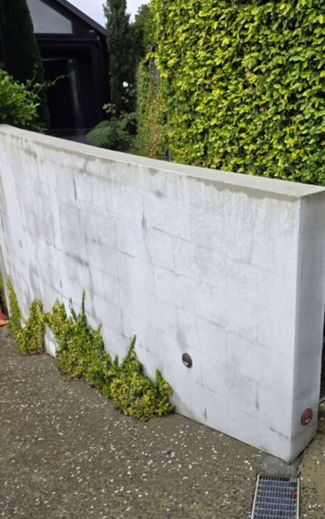 Exterior concrete resurfacing project showcasing a modern concrete wall with climbing plants. Case study of exterior renovation.