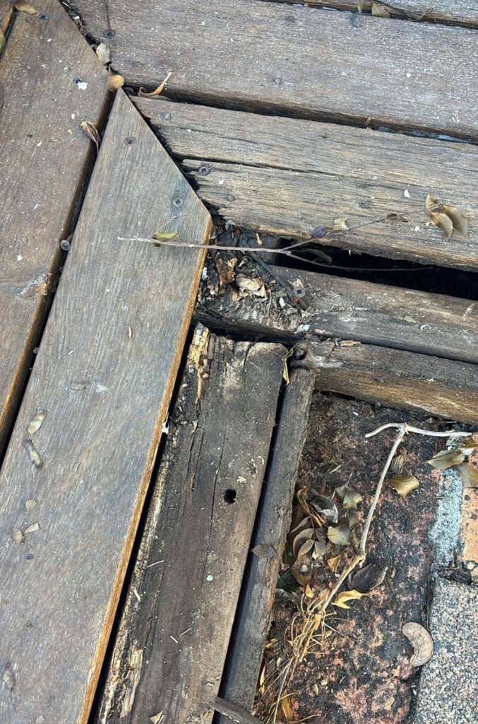 Close up of rotten timber used as a handrail decking, showing wood decay and potential safety hazards. Decking repair needed.