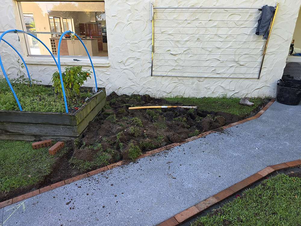 Brick releveling project showing a garden bed and walkway with brick edging being repaired and leveled.