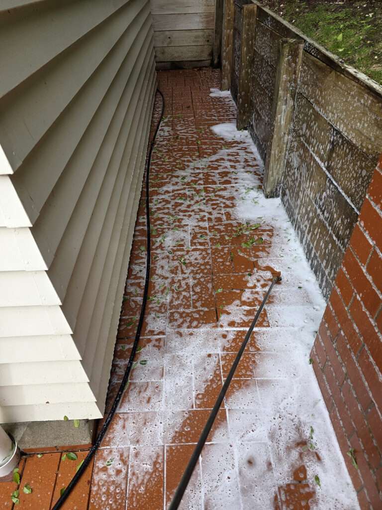 Moss and mould treatment in progress. Brick pathway being cleaned of moss and mould with a cleaning solution.
