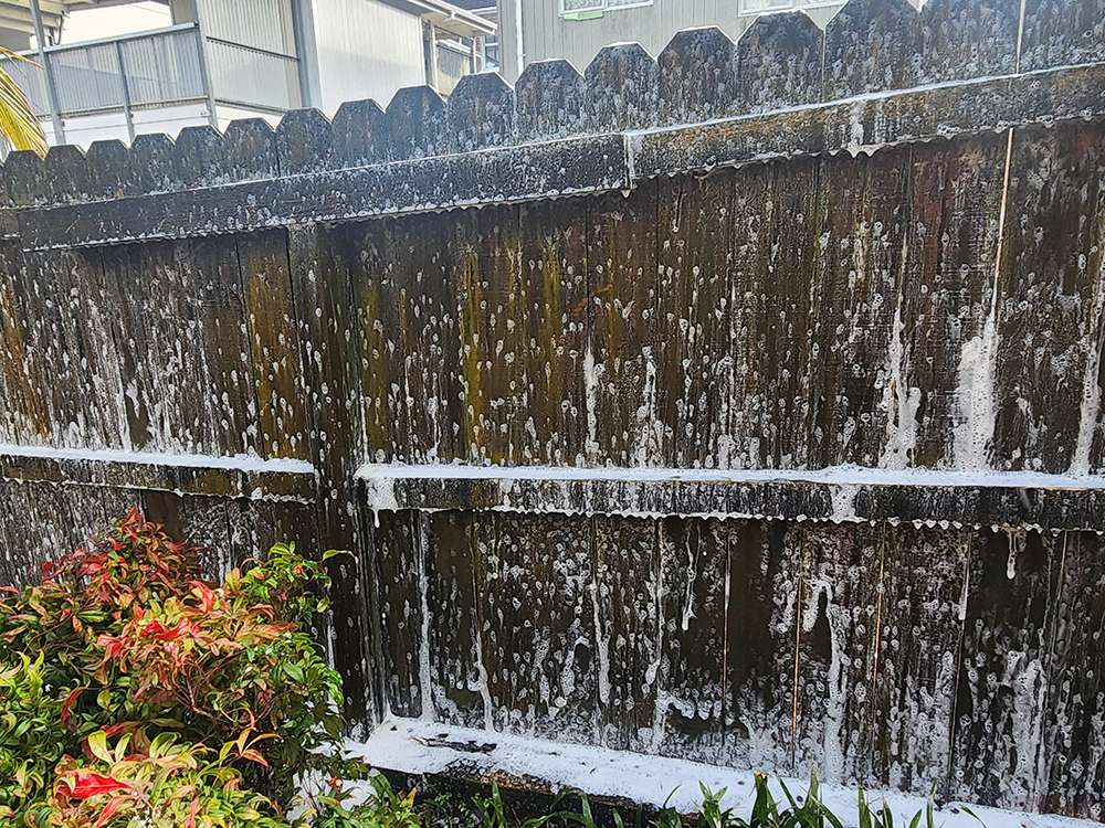 Moss and mould treatment on a wooden fence. Before and after moss removal. Case study of moss mould treatments.